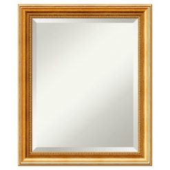 Discount 🛒 20" x 24" Townhouse Wood Framed Wall Mirror Gold - Amanti Art 👍
