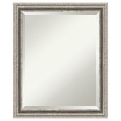 Promo 🎉 Bel Volto Silver Framed Wall Mirror - Amanti Art ✔️