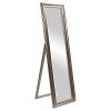 Discount 🧨 Rectangle Taylor Floor Mirror Light Silver - Howard Elliott 😉